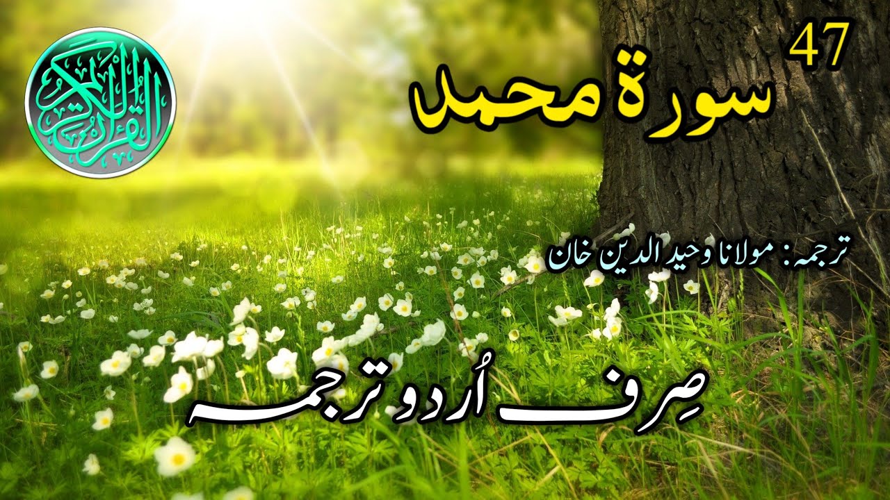 047-Surah Muhammad Urdu Translation | Surah Muhammad Full Sirf Urdu Tarjuma | Urdu Translation Only