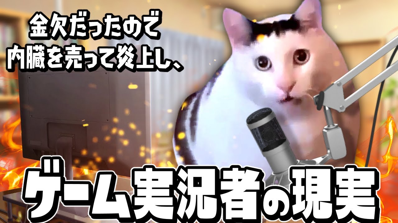 底辺VTuberの生活ルーティーンがヤバすぎる話 ＃猫ミーム #猫マニア #catmemes
