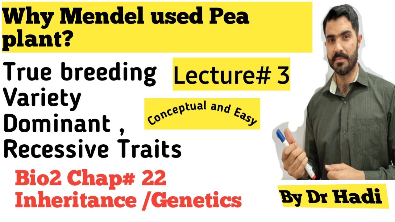 L-3 Why Mendel used pea plant|| True breeding variety|| Dominant and recessive trait