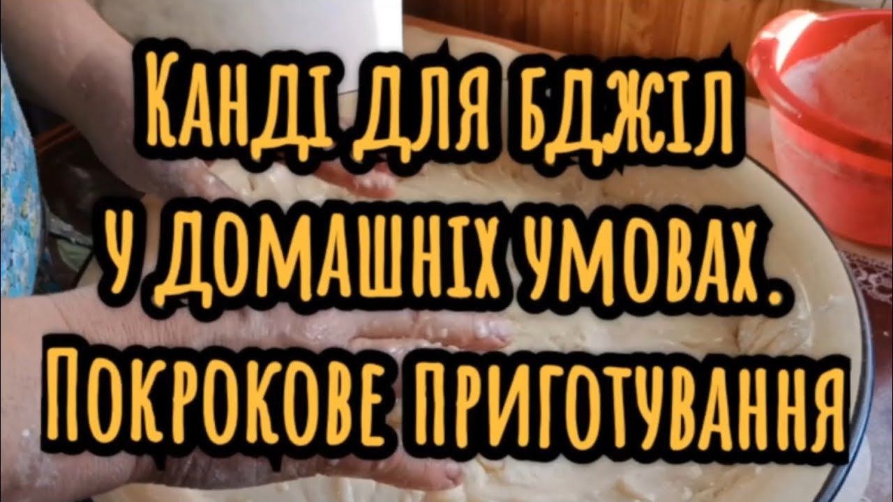Канді для бджіл у домашніх умовах. Покрокове приготування