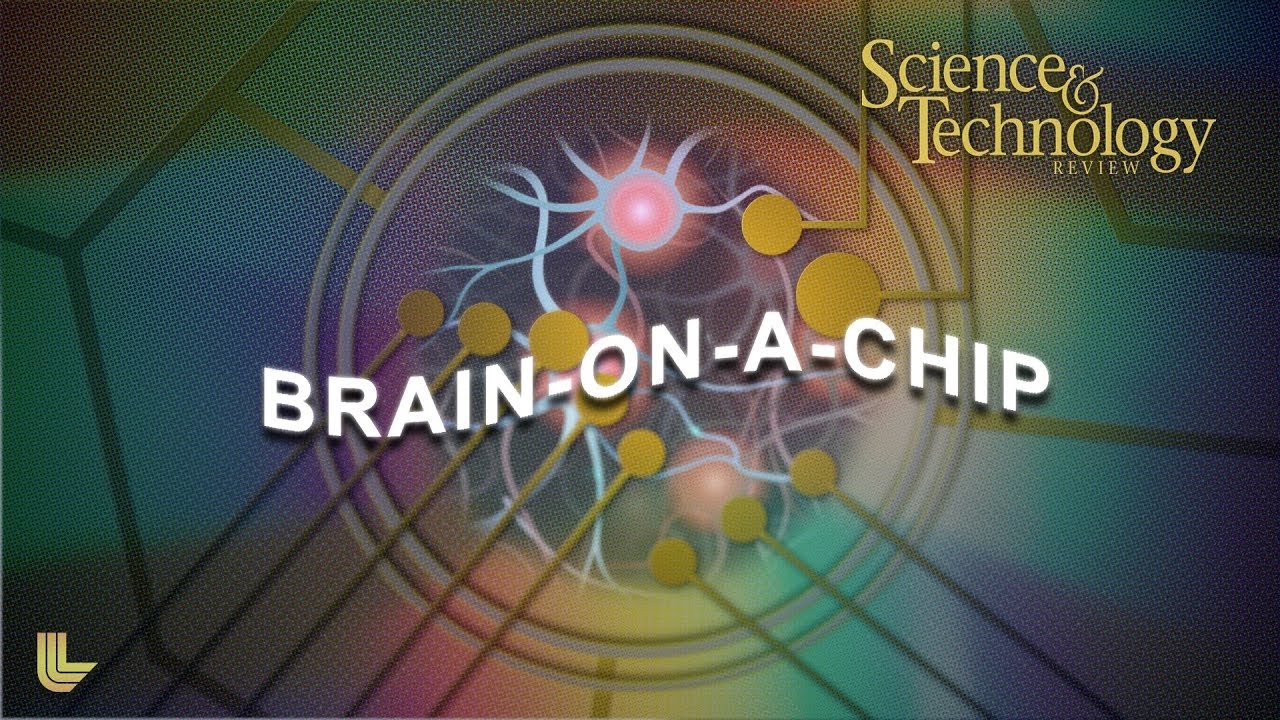S&TR Preview: Brain-on-a-Chip