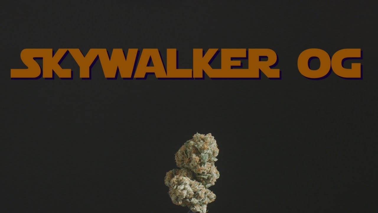 Item 9 Strain Review - Skywalker OG by CRAFT Cannabis