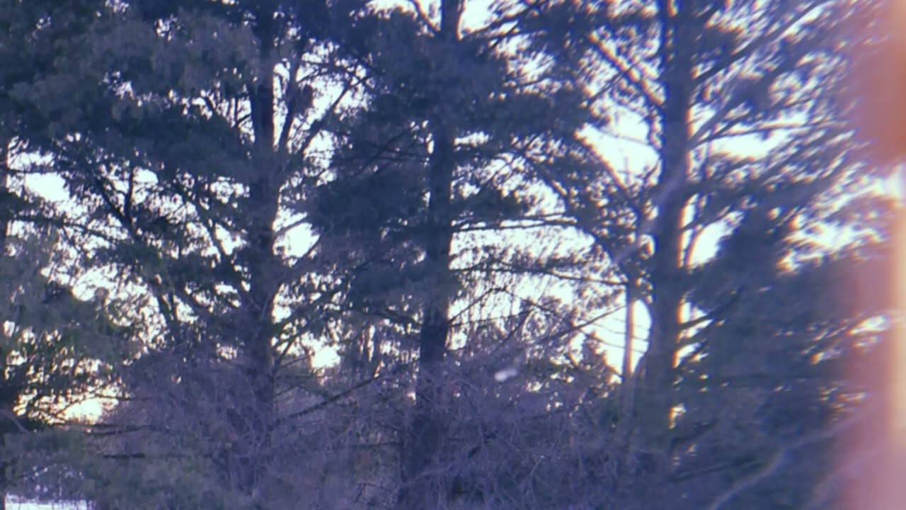 The Fall By NOMARKMORE (Slowed)