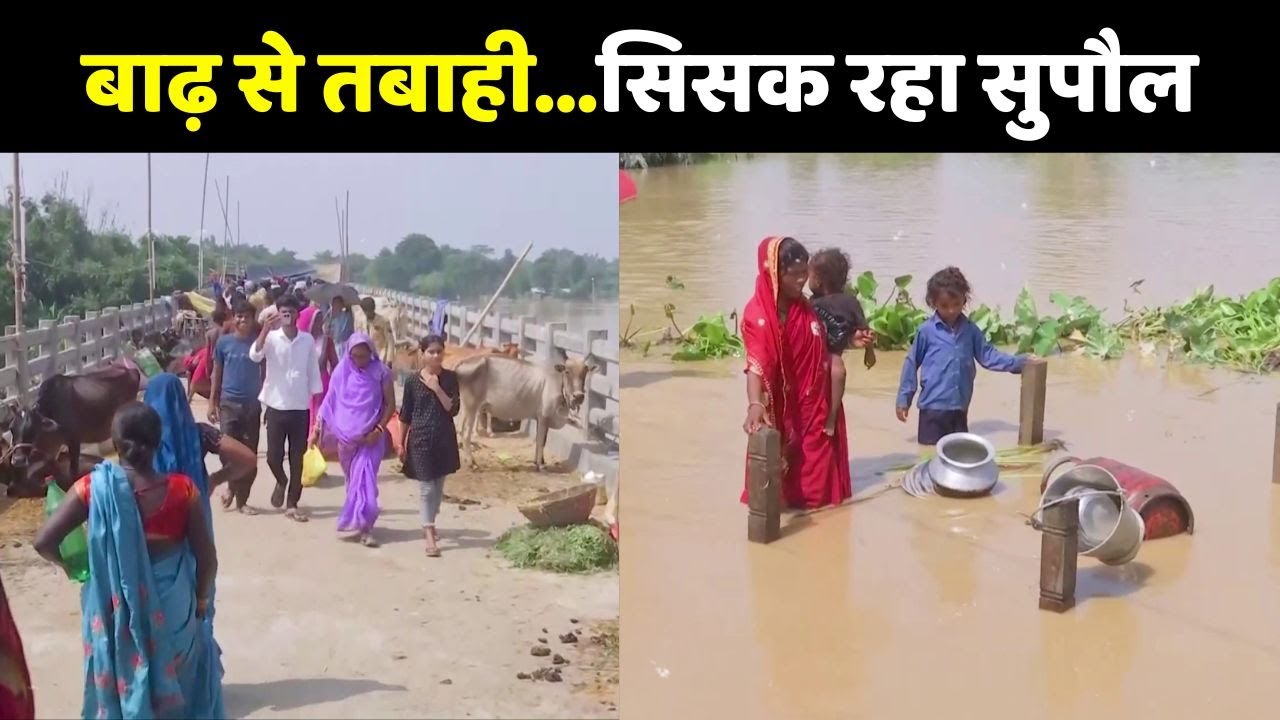 Bihar Flood 2024 LIVE Update: बाढ़ से तबाही...सिसक रहा सुपौल | Supaul Flood Situation