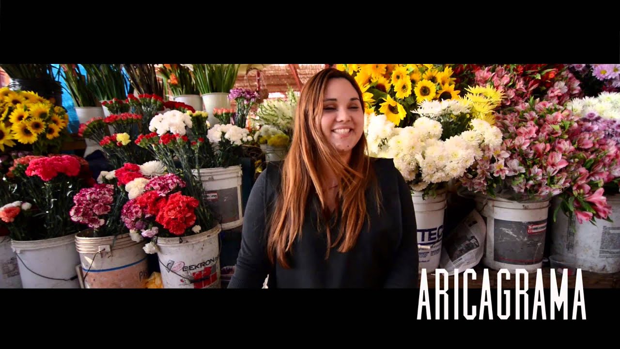 Fotograma 2/ Aricagrama/ Asoagro: La Casa del Agricultor