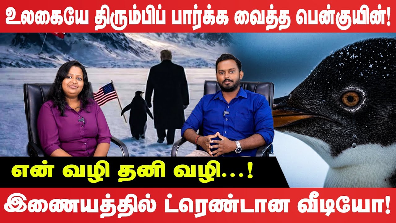 என் வழி தனி வழி.. உலகையே திரும்பிப் பார்க்க வைத்த பென்குயின்!