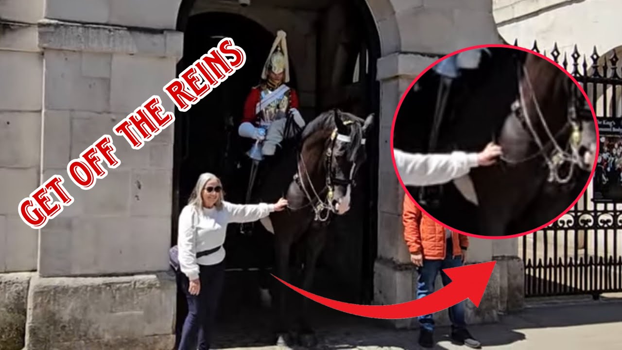 SHE GRABS THE KING’S HORSE REINS! | KINGS GUARD, HORSE GUARD, ROYAL GUARD, HORSE GUARD PARADE 2024.