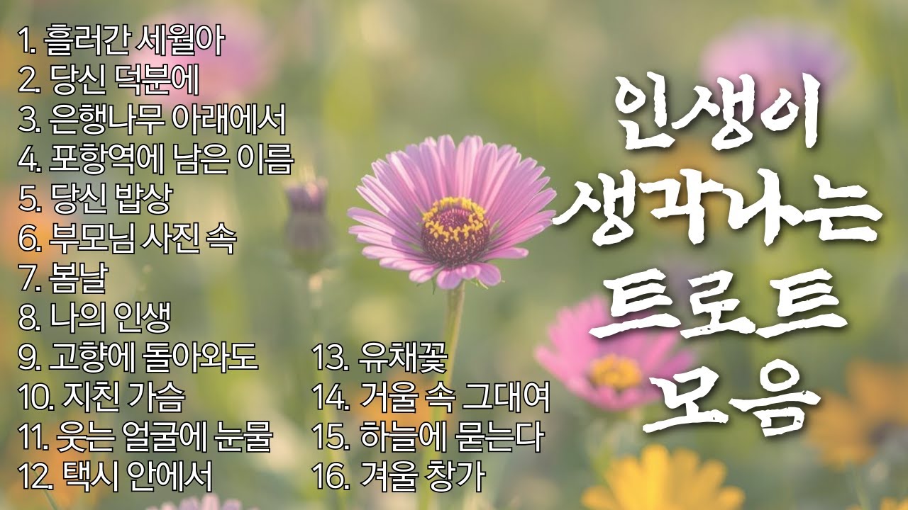 인생이 생각나는 트로트 1시간 모음 | 우리가 좋아하는 감성 트로트