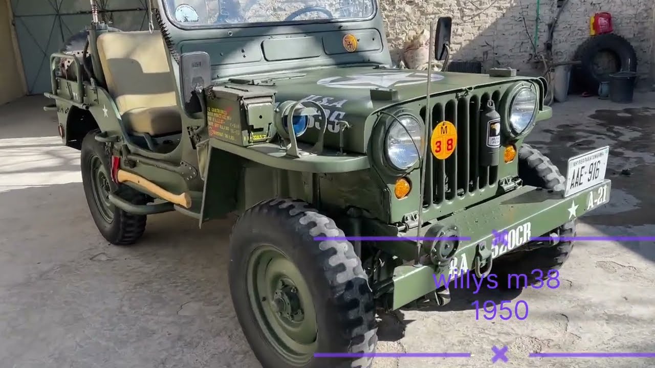 JEEP WILLYS M38 1950