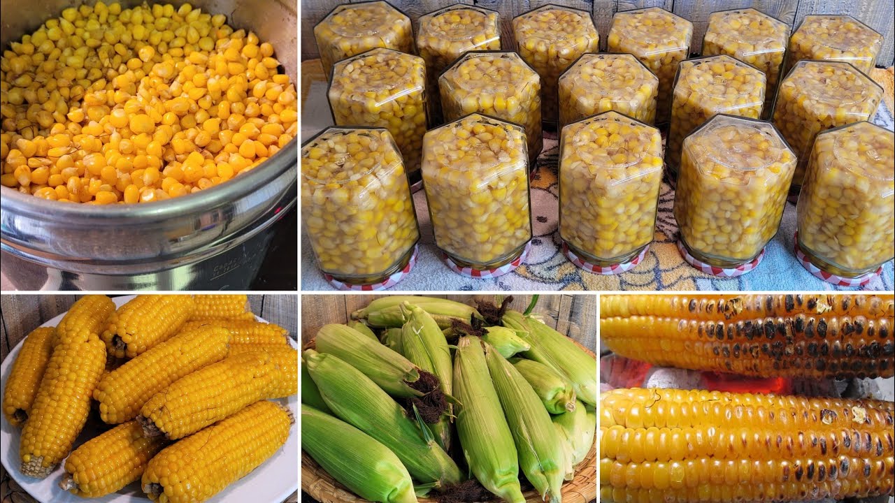 طريقة تعليب الذرة وصفة اقتصادية ارخص من المحلات وصحية لا ثلاجة و لا مواد حافظة 🌽