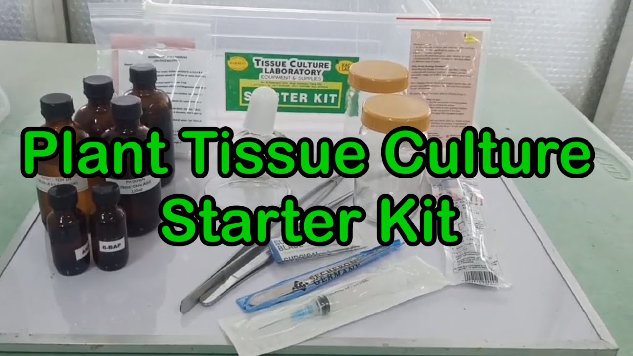 DIY Plant Tissue Culture Lab Set Up: Plant Tissue Culture Starter Kit
