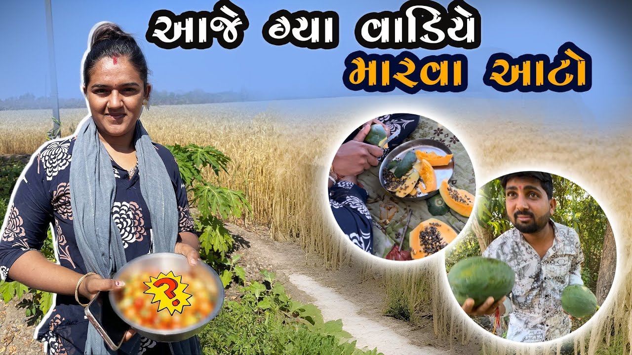ગામડાનું જીવન || વાડીએ ઉતારી લીધું બધું બકાલું || | GAMDANU JIVAN || 