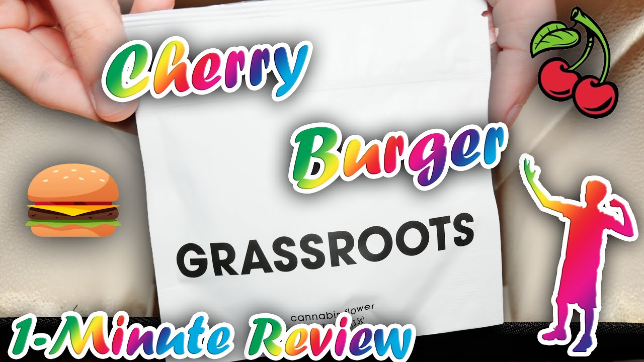 Cherry Burger from Curaleaf | 1 Minute Flower Review