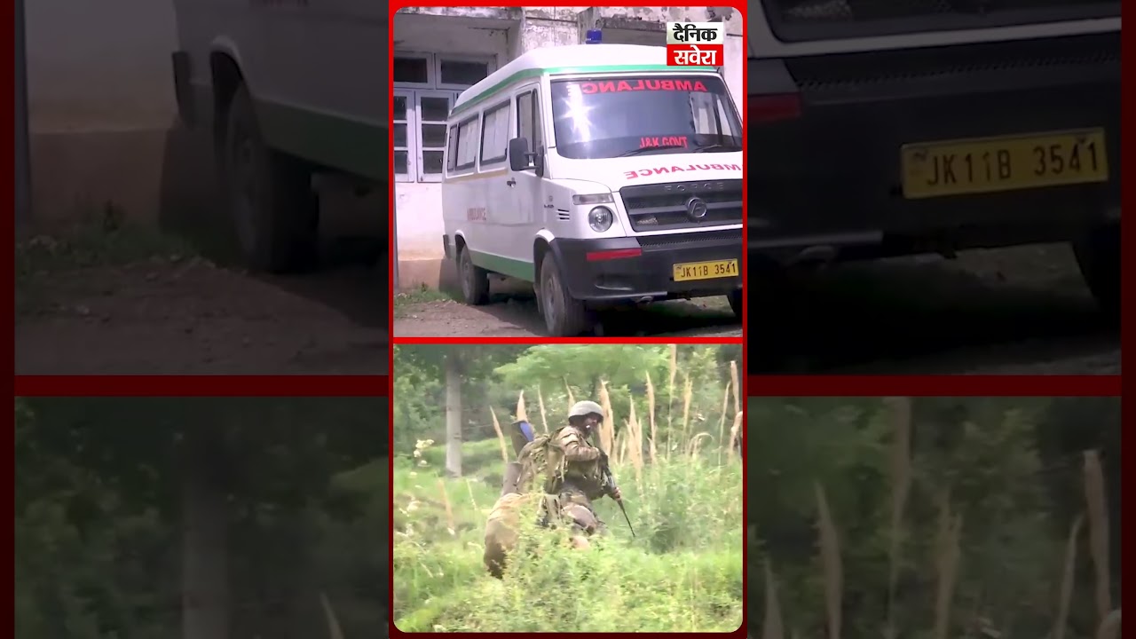 Manjakote Sector Forest Operation in Gambhir Mughlan Enters Day 11, Intensive Search Underway