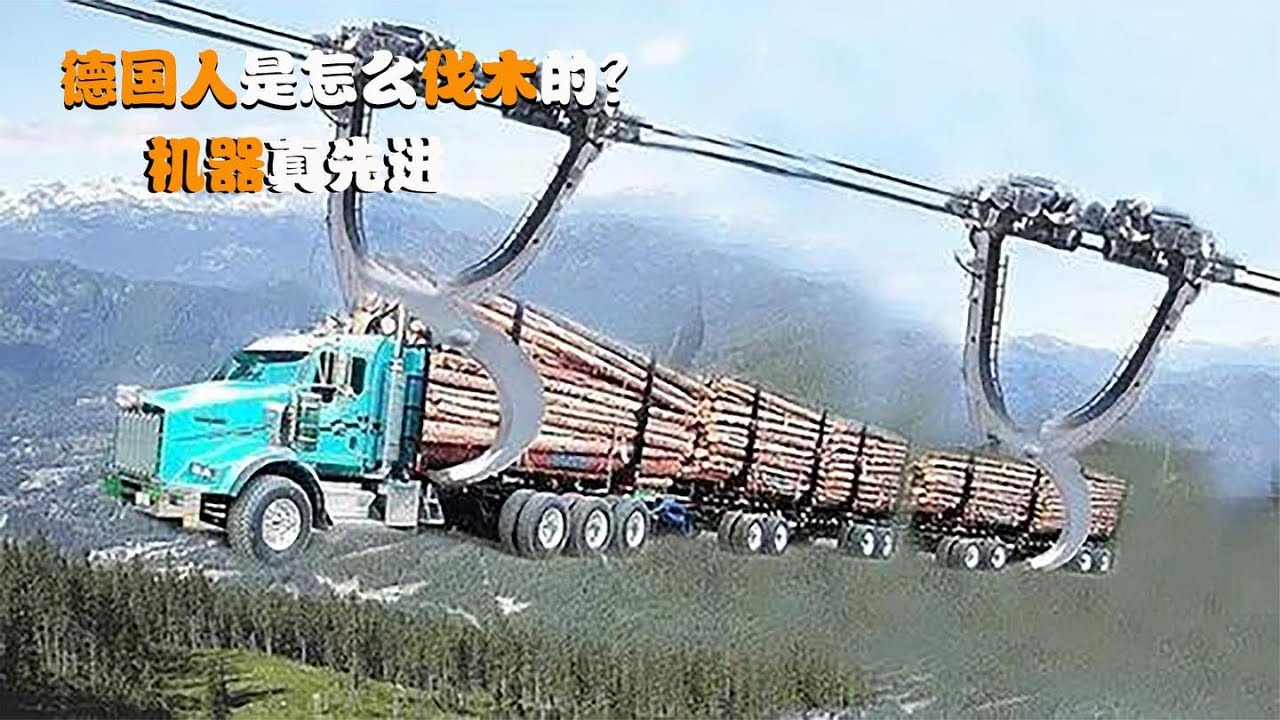 德国人是怎么伐木的？一台机器开过去，放倒一片树林