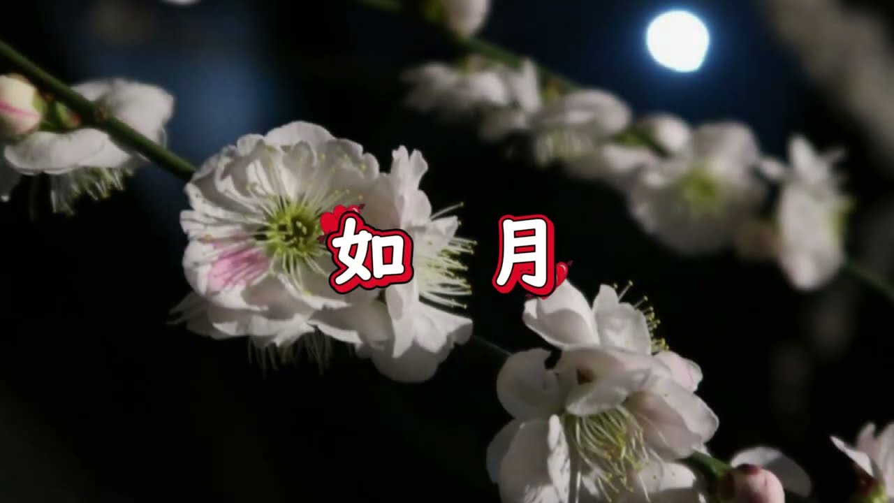 如月