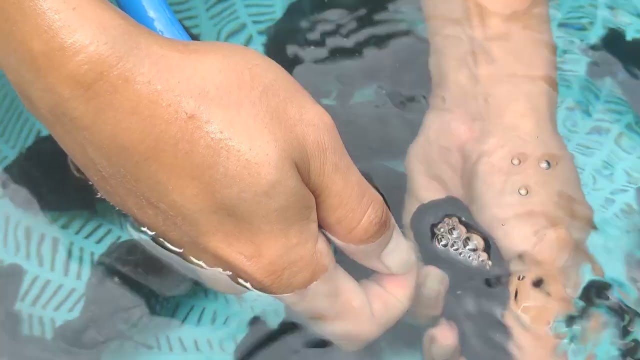 ดูแลปลาช่วงอากาศเปลี่ยน