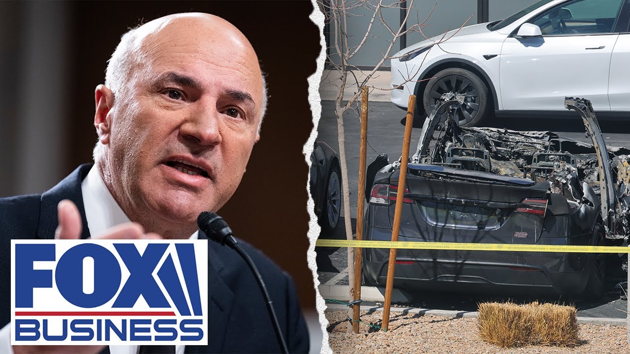 O'Leary scorches Tesla vandals: 'I'd like to see them in prison as terrorists'