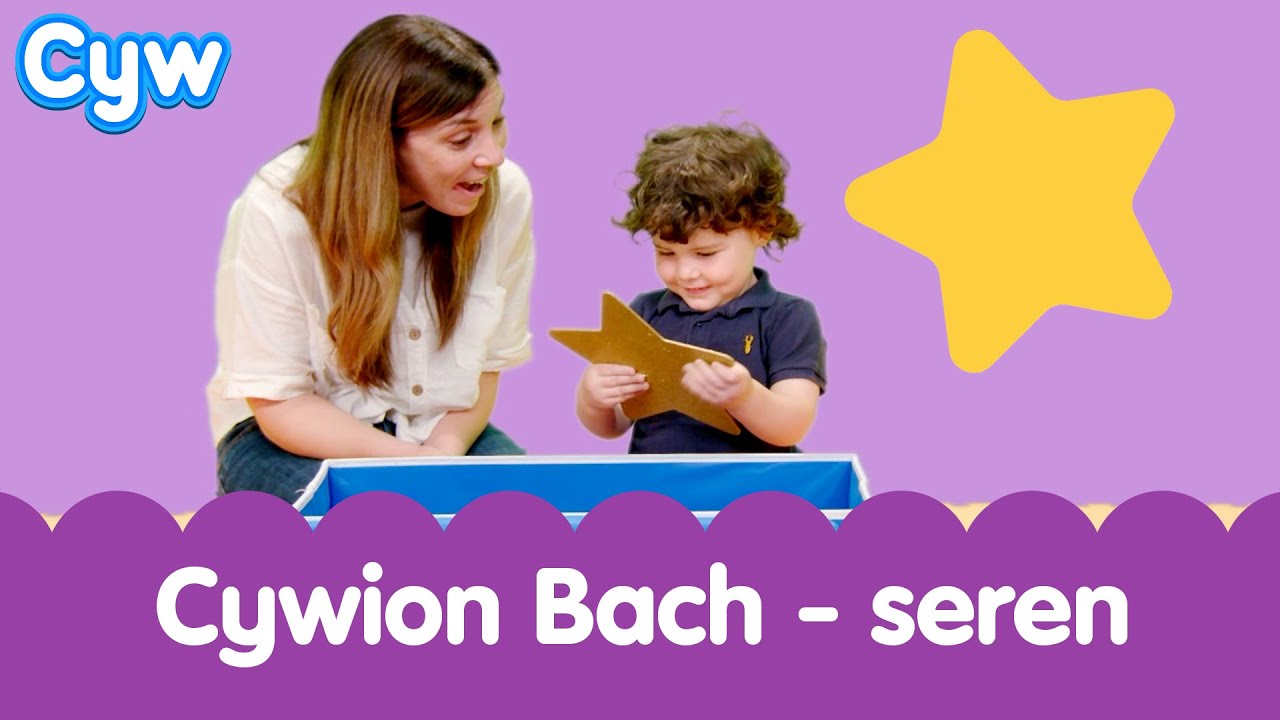 Cywion Bach - Seren ⭐️ | Welsh Toddler - Learn First Welsh Words Star ✨