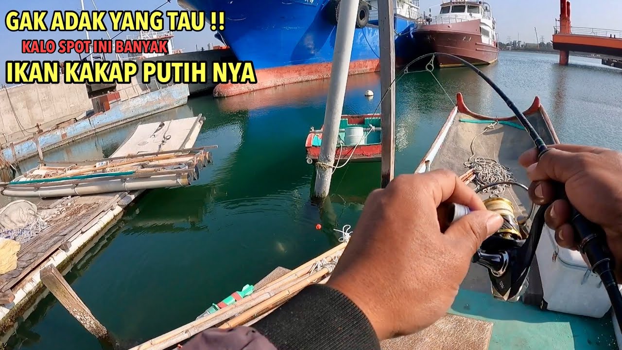 BIKIN HERAN ‼️RUMPON DI PINGGIRAN PERAHU MATI JADI SARANG IKAN KAKAP PUTIH BESAR 