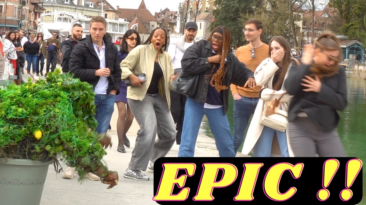 BEST BUSHMAN PRANK 2025 NEW: SO SO FUNNY