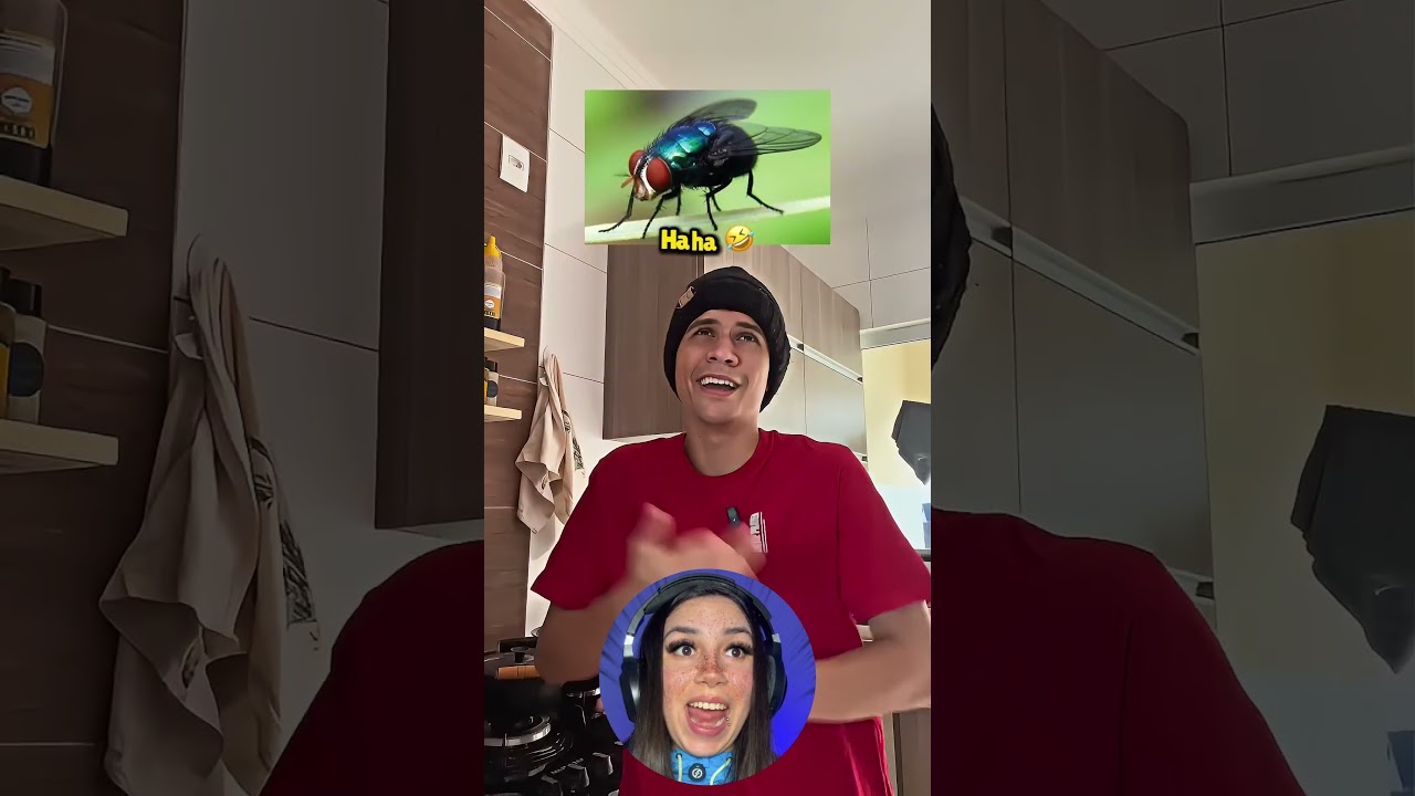 Os piores insetos IMAGIN&Aacute;VEIS do mundo inteiro 😨  IB @Daniel Gontijo
