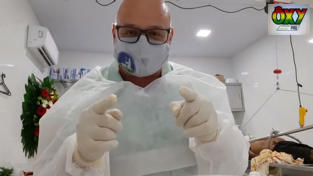Prepara&ccedil;&atilde;o de um Corpo para Vel&oacute;rio numa Funer&aacute;ria
