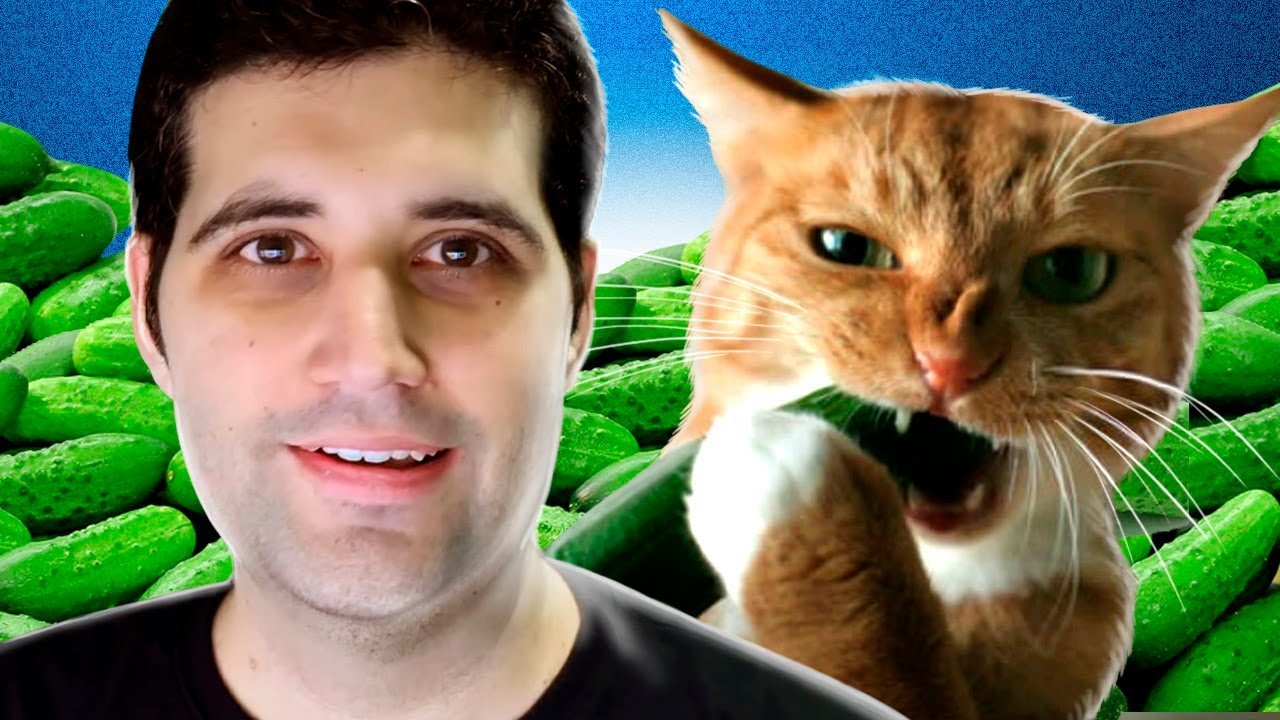 TENTE NÃO RIR COM GATOS E PEPINOS
