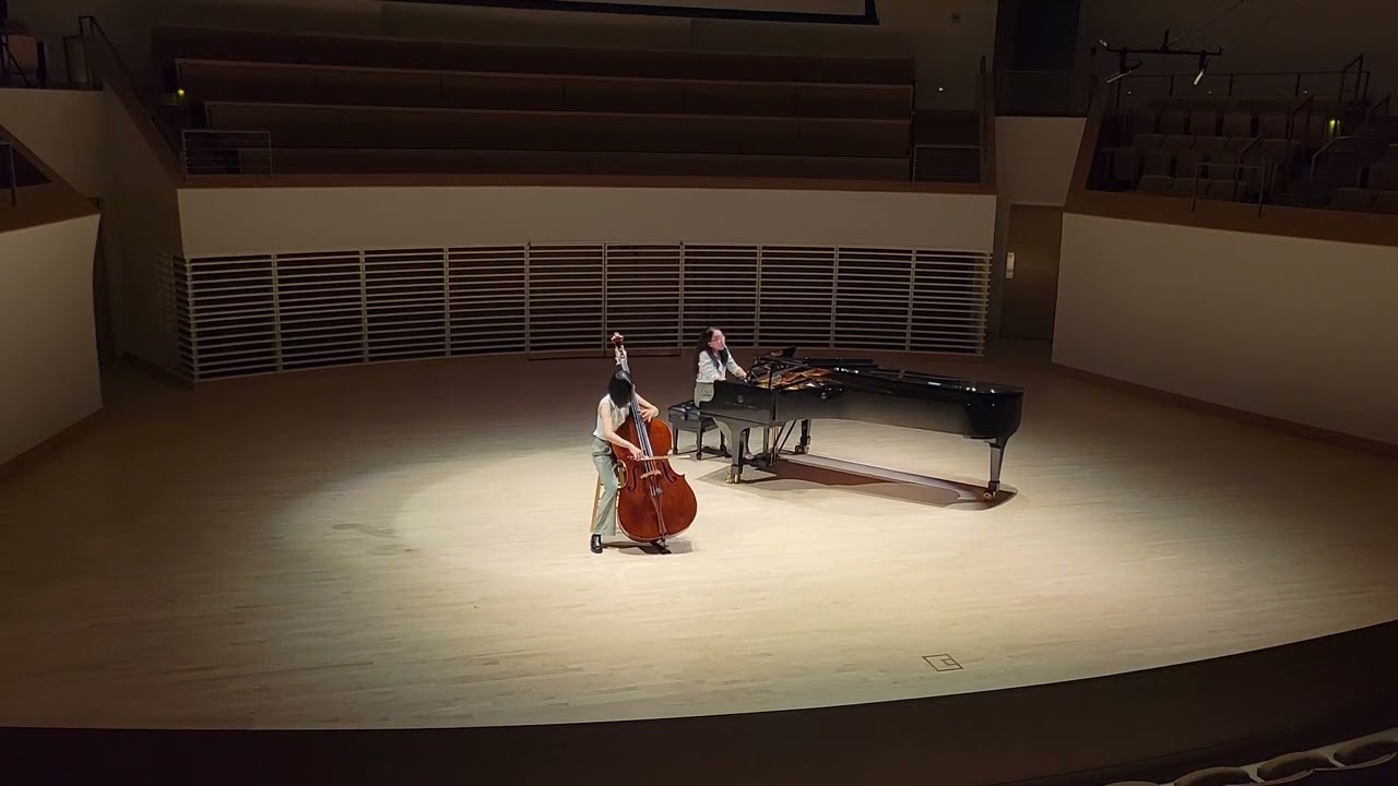 Domenico Dragonetti Double Bass concerto in G Major MOV I