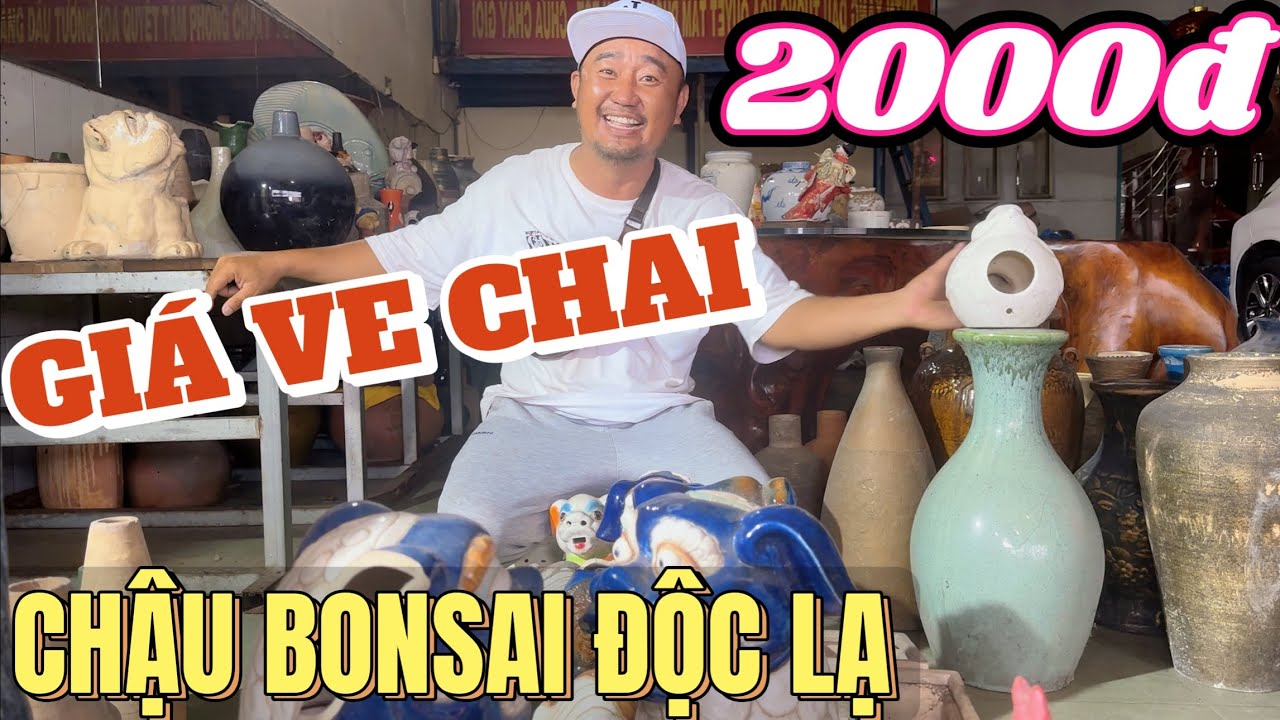 Chậu Gốm Bonsai Độc Lạ GIÁ VE CHAI 2k–200k | Vinh Cao Nguyên bán rẻ cho AE mê Mai Vàng ở Bình Dương