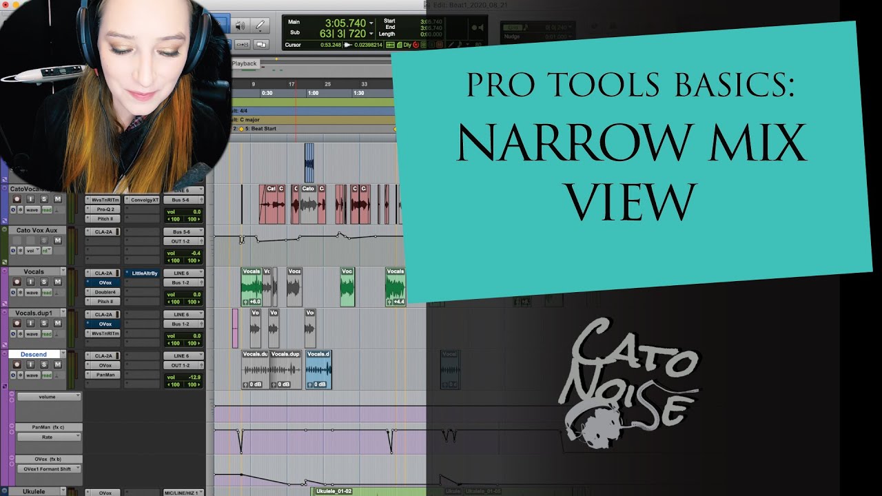 Pro Tools Basics: Narrow Mix View