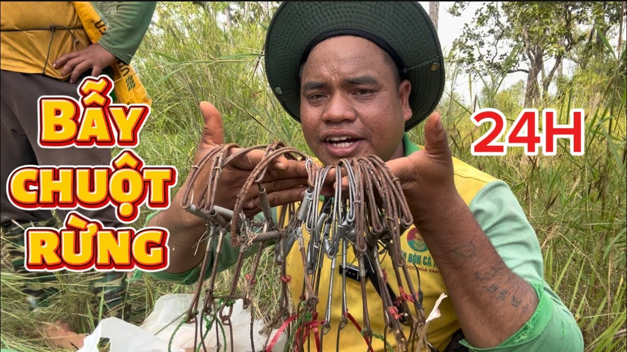 TẬP 1 VÀO RỪNG 60 KM Ở LẠI 2 NGÀY 1 ĐÊM BẪY CHUỘT , PHÁT HIỆN NHIỀU DẤU CHÂN CON HEO RỪNG ￼