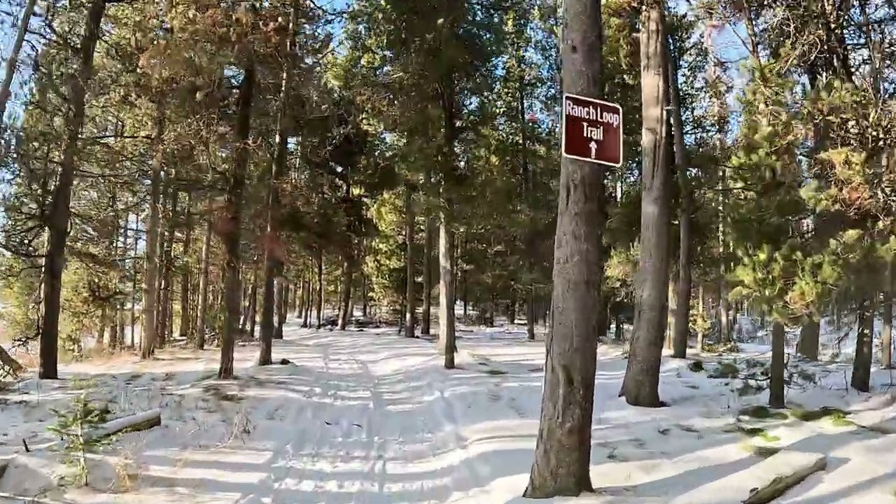 Virtual Treadmill Run: Forest, Snow, Riverside; Harriman State Park, Idaho