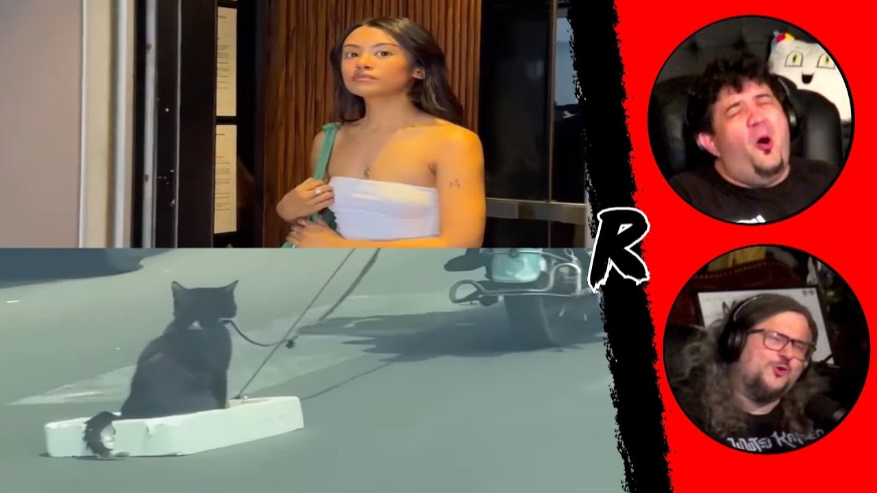 UNUSUAL MEMES COMPILATION V330 & V331 | RENEGADES REACT #memes #dankmemes