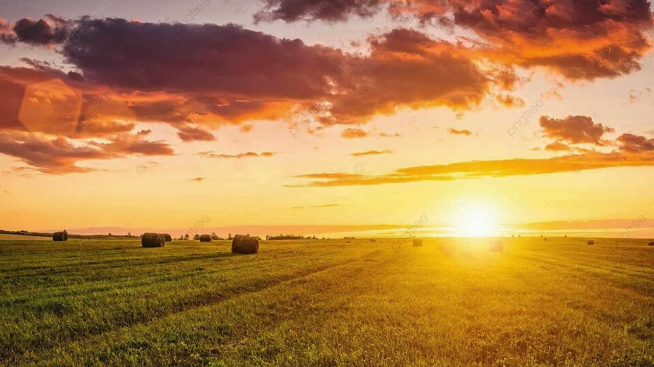 Wake Me Up Avicii One Voice Children