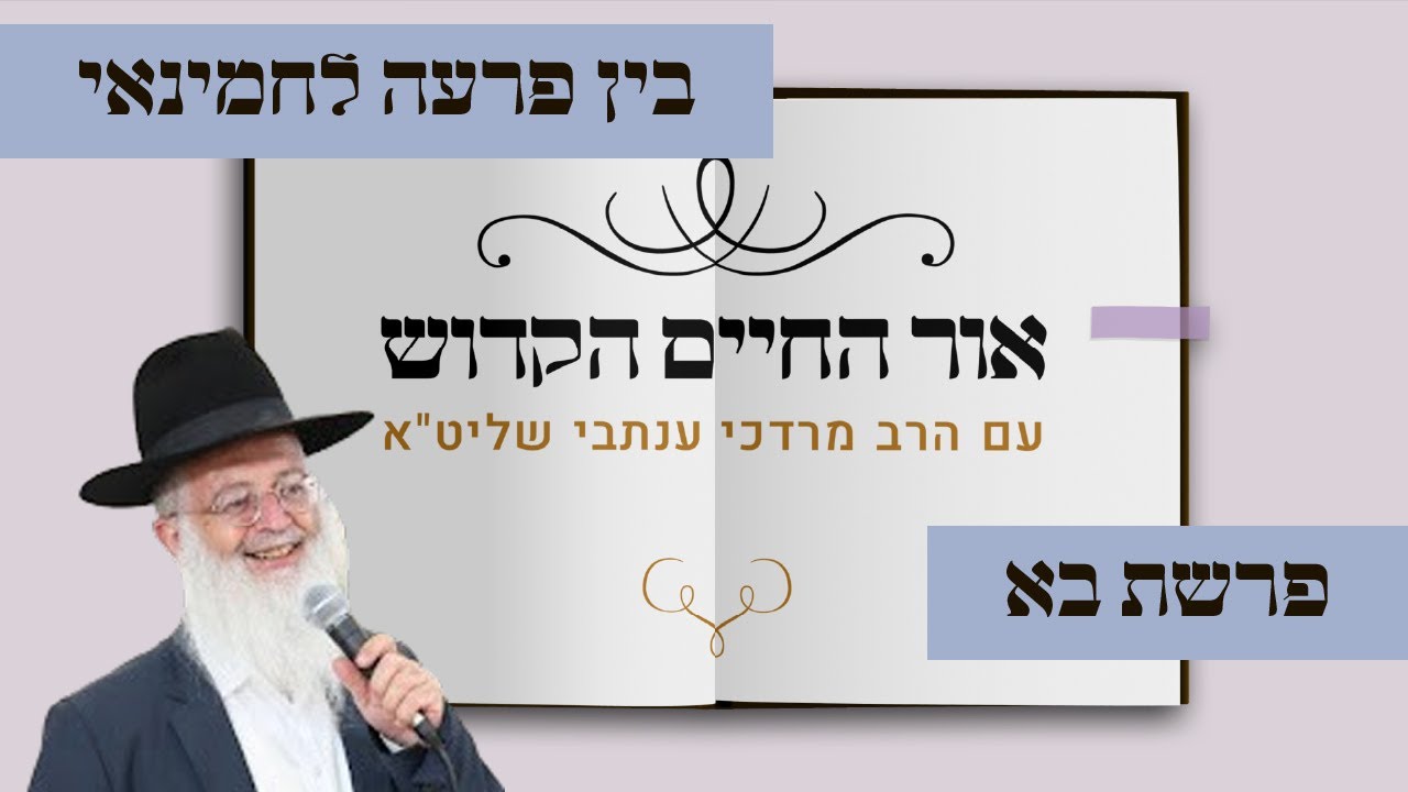 אור החיים | פרשת בא תשפ״ו: בין פרעה לחמינאי, מכת ארבה ומכת חושך – תופעה שלא מהעולם הזה