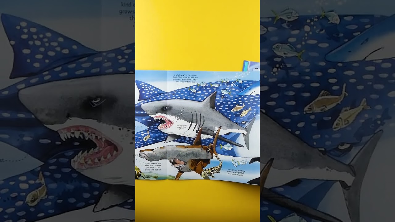 Big Book of Big Sea Creatures | a fold-out book packed with ocean giants and fascinating facts!