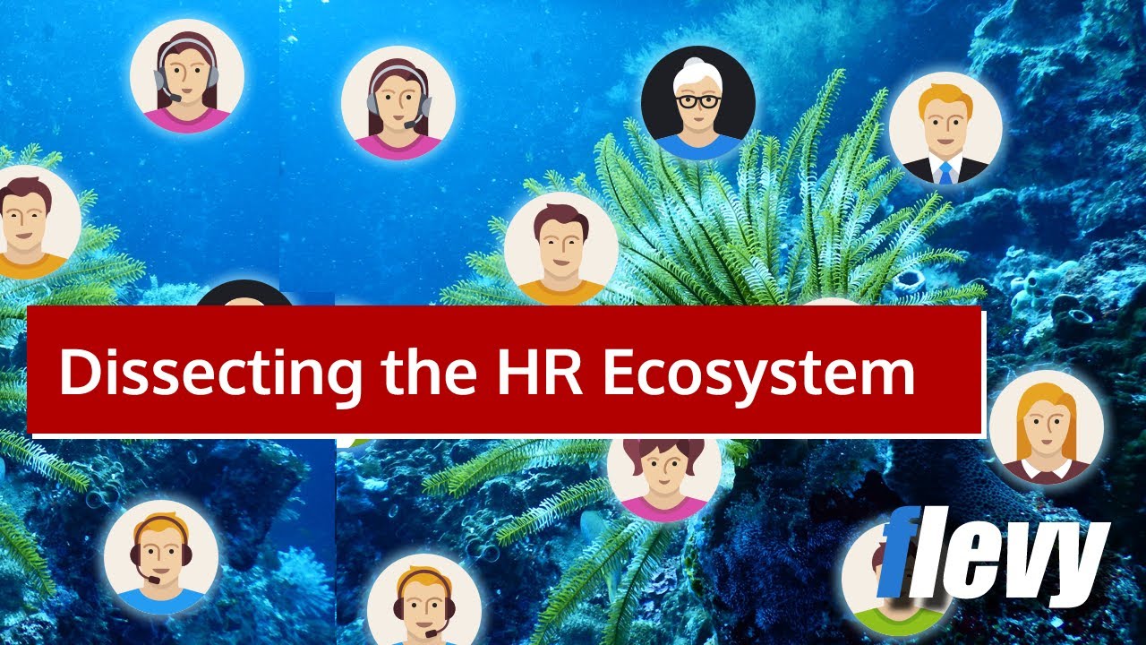 What Are the 10 Fundamental Elements of the Human Resources (HR) Ecosystem?