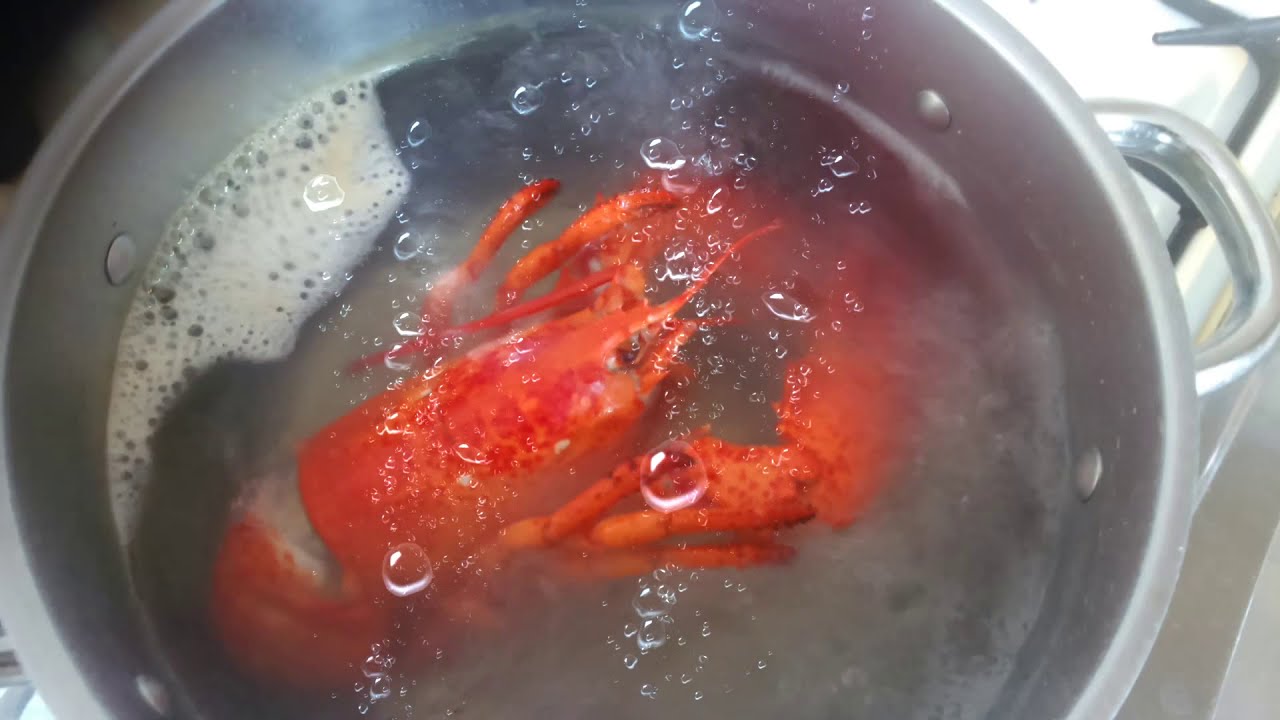 омар
