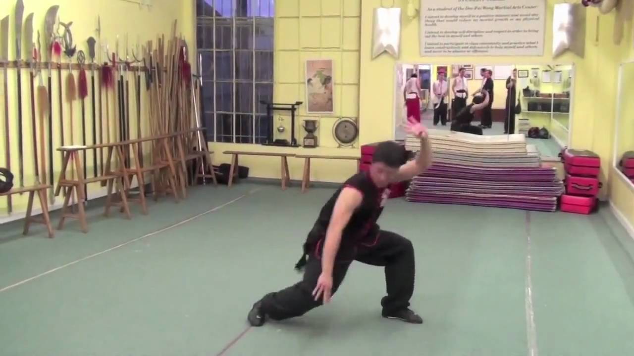Choy Li Fut - Ping Kuen - DFWMAC