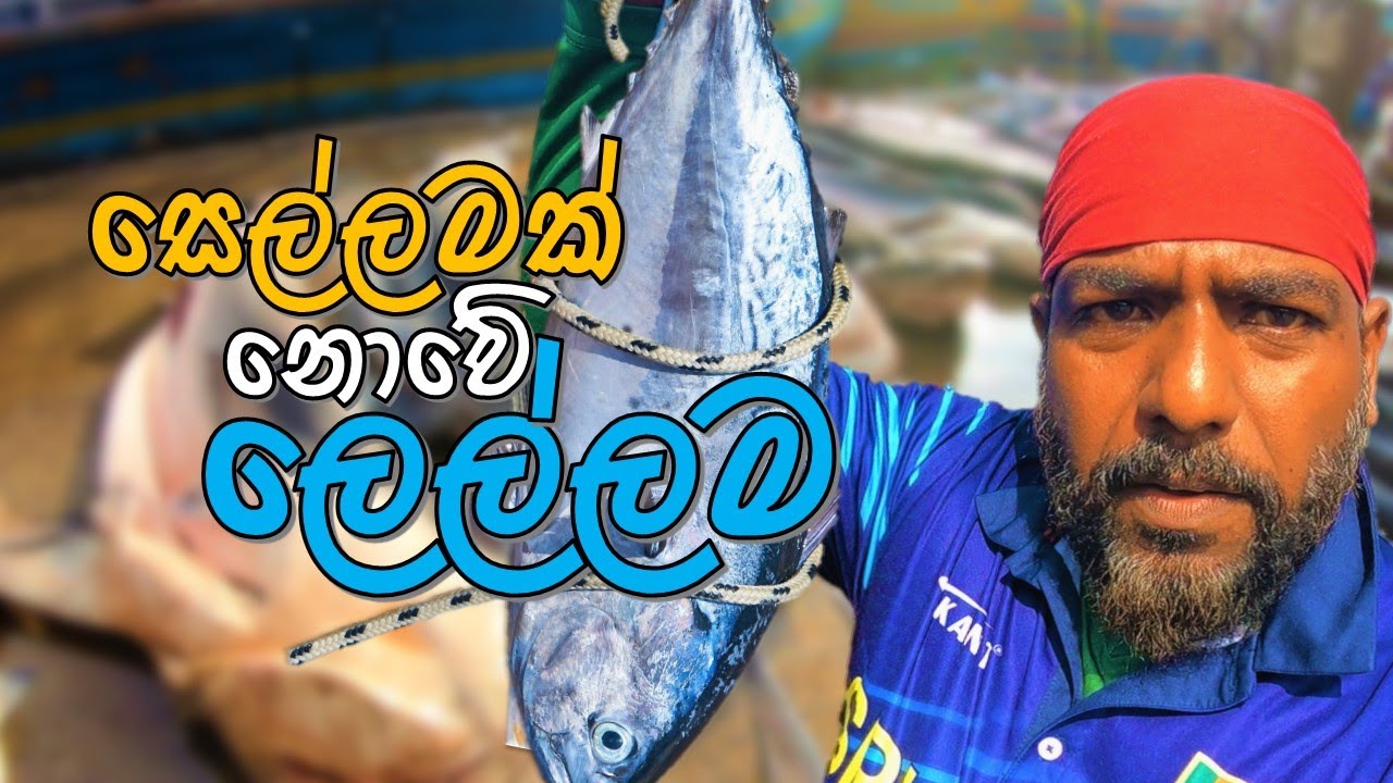 සෙල්ලමක් නොවේ මේ මීගමු මහ ලෙල්ලම @wishwatiyubaya 😲🙏