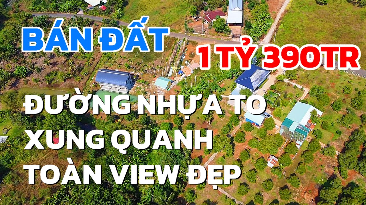 A Phụng Nợ tiền bán gất 1040m2, quy hoạch đất ở, đường nhựa to đùng, xung quanh toàn view đẹp ở BRVT