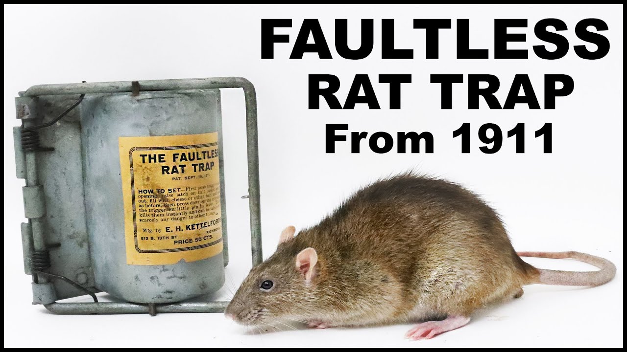 Does The FAULTLESS Metal Rat Trap From 1911 Work? - $400 Antique Rat Trap. Mousetrap Monday