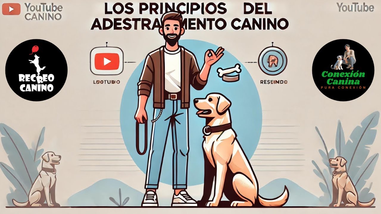 Secretos Psicológicos para Educar a Tu Perro como un Experto   Condicionamiento Clásico y Operante.