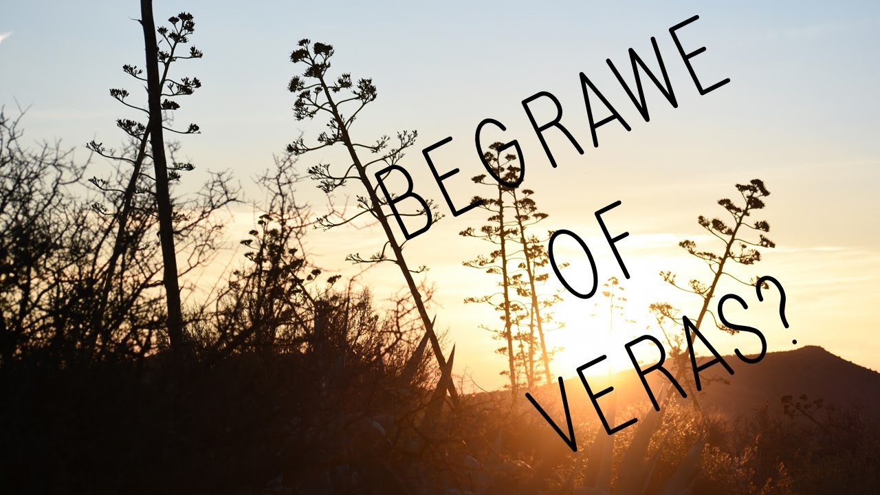 Begrawe of Veras?