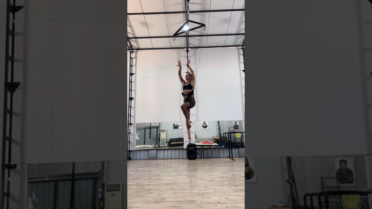 Aerial Harness