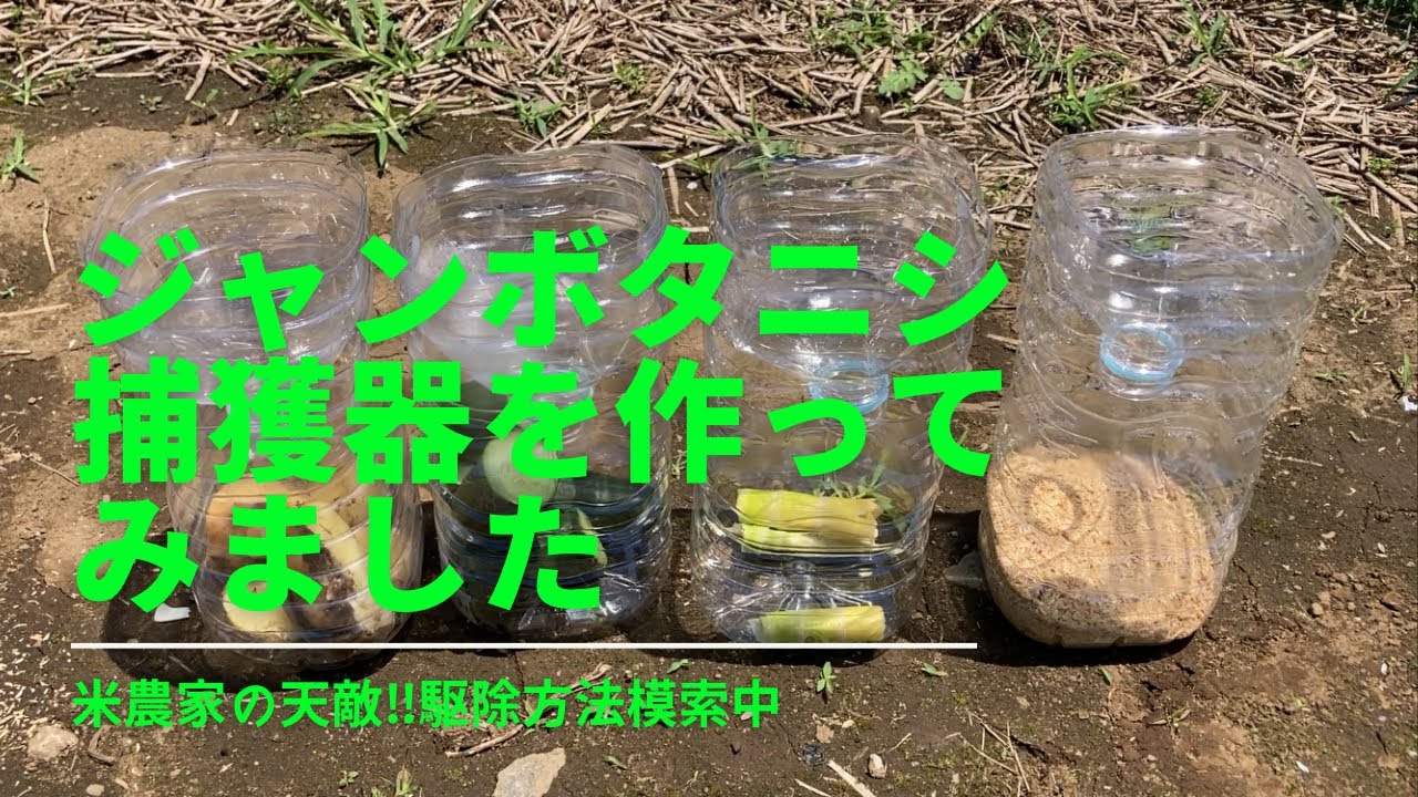 ジャンボタニシ捕獲器を作ってみました