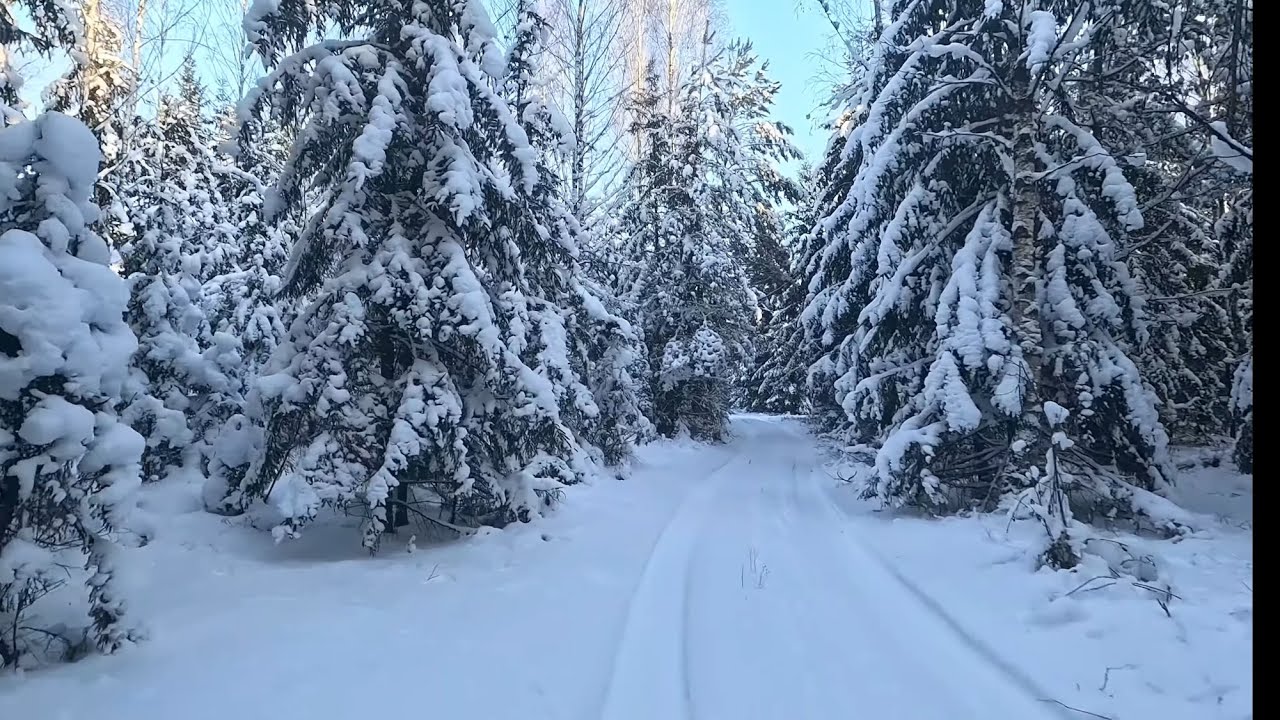 Путешествие на озеро Чарта из Зарицы на лыжах 