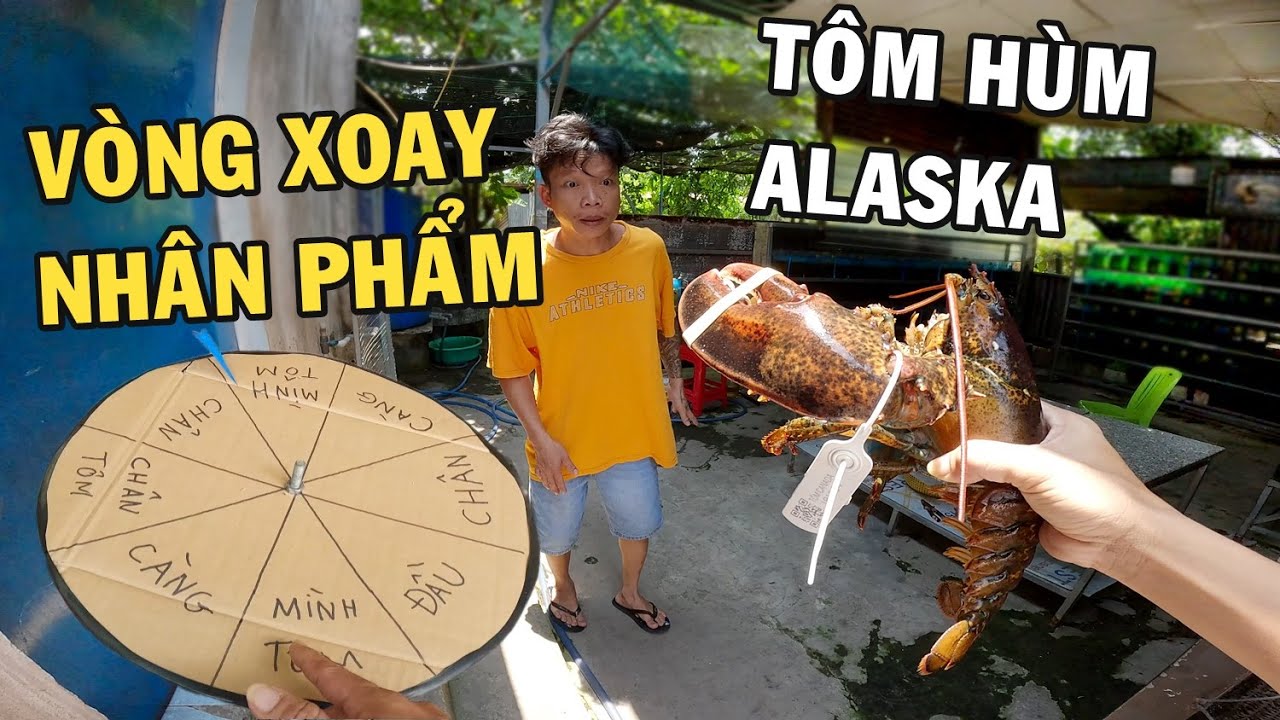 Vòng Xoay Nhân Phẩm - Tôm Hùm Alaska Rang Muối cùng Anh Nhí Betta