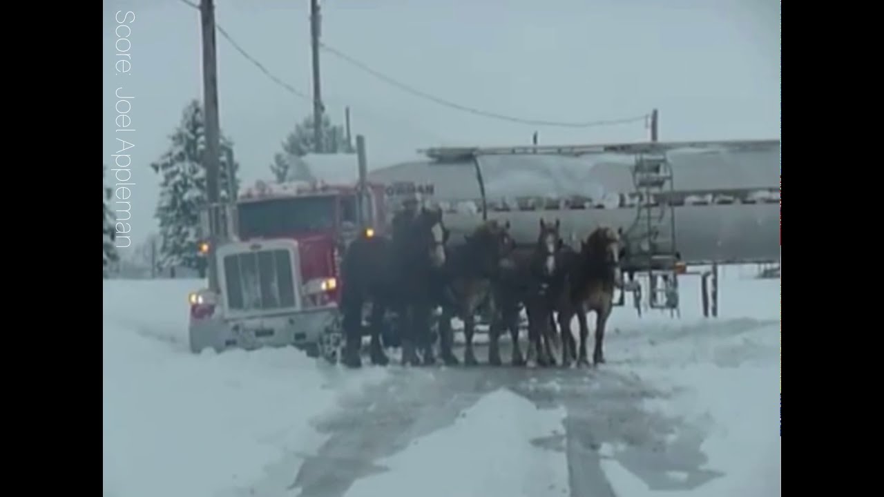Now that&rsquo;s what I call horsepower !!